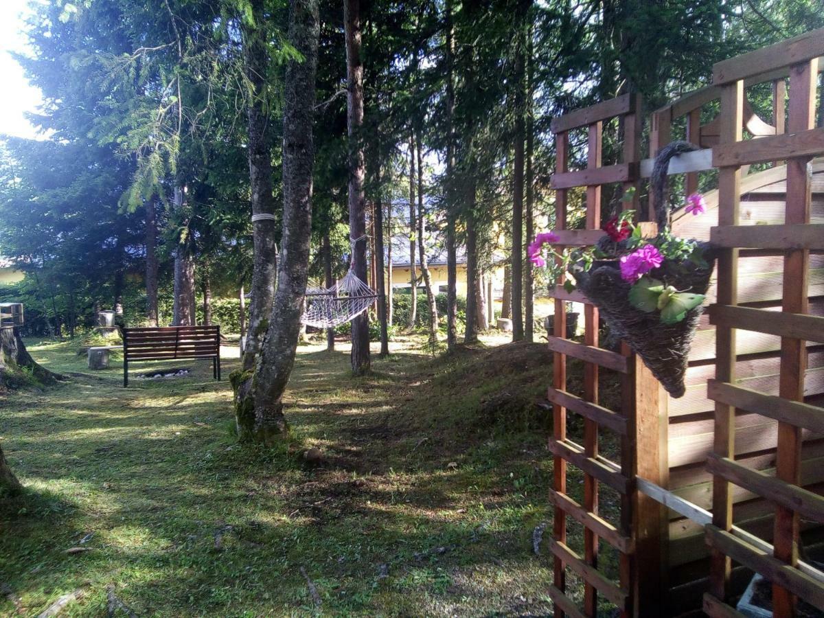 Pension Concordia Ramsau am Dachstein Exterior foto